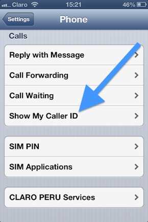 How do I hide my phone number on iPhone?
