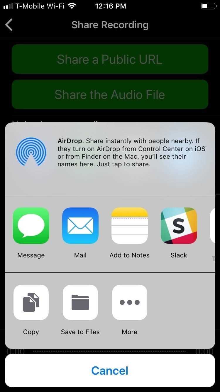Grant Microphone Access to the App