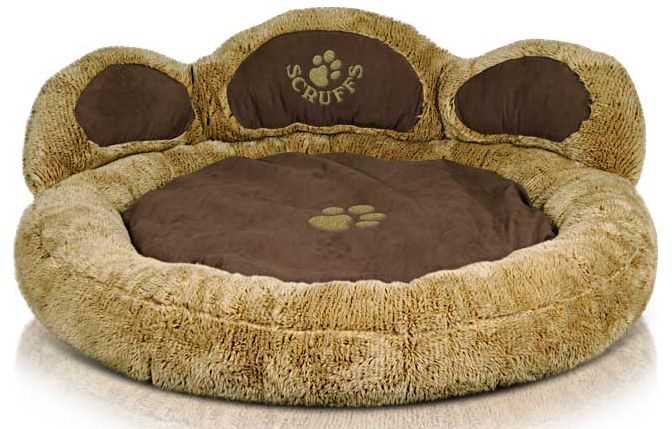 Factors to consider when selecting dog bed fillings