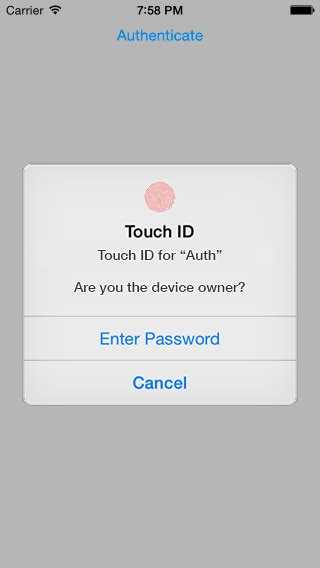 Where are iPhone Touch ID passwords stored?