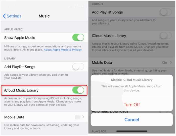 Why don’t I see iCloud music library in my settings?